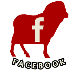 PM Facebook Link