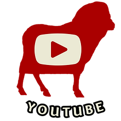PM YouTube Link
