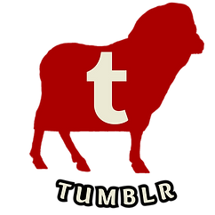 PM Tumblr Link