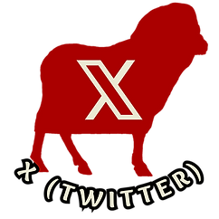 PM X Twitter Link