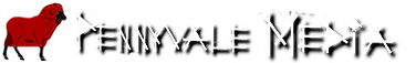 Vynex Logo