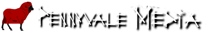 Vynex Logo - Horizonal Version.png